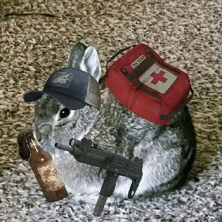 Video sticker 🐇 wonejo :: @fStikBot