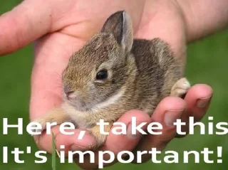 Telegram sticker 💳 wonejo :: @fStikBot