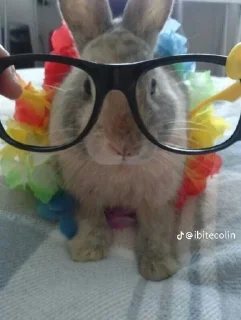 Telegram sticker 👆 wonejo :: @fStikBot