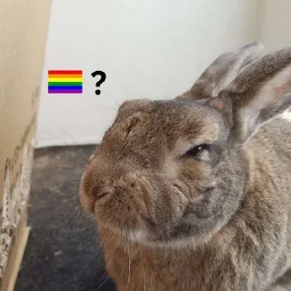 Video sticker 🌟 wonejo :: @fStikBot