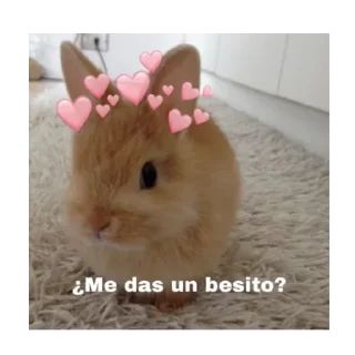 Telegram sticker 🐰 wonejo :: @fStikBot