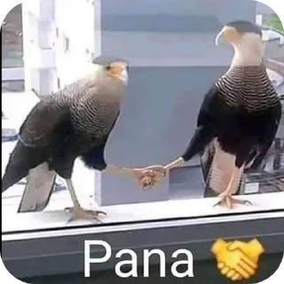 Telegram sticker 🤝 YES 2 | @Mika_ly 🍡✨ :: @fStikBot