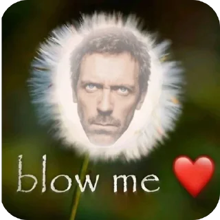 Sticker 🫥 hilsonfan