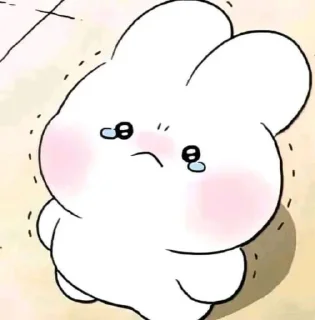 Video sticker 🥺 yeca memes