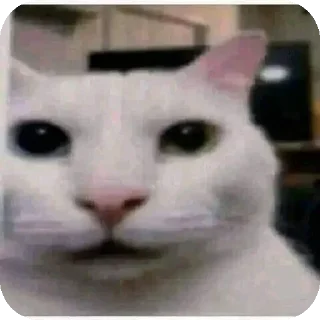 Video sticker 🤲 No se que nombre poner :: @fStikBot