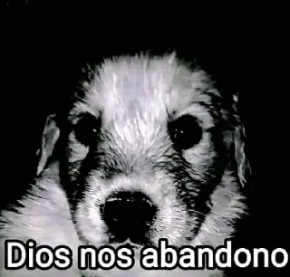 Sticker 🌟 No se que nombre poner :: @fStikBot