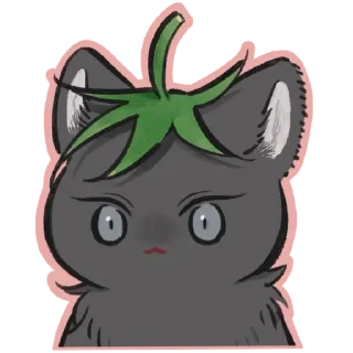 Video sticker 🍅 LTIT @moon_shopping69