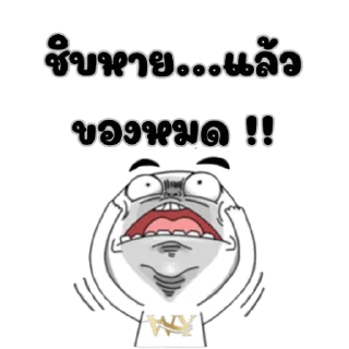 Video sticker 🙂 K2DOK