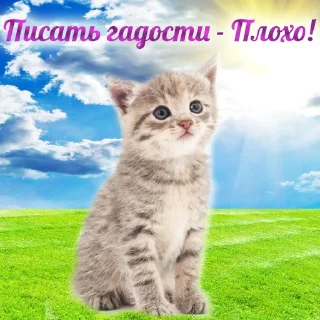 Telegram sticker 🤔 (@m4a34) Добрячки тут!!!