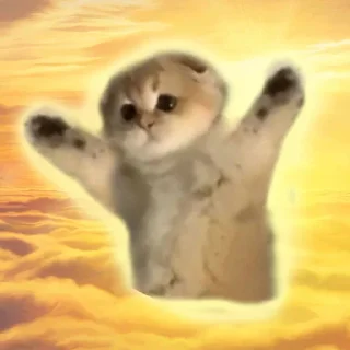 Video sticker 🙏 (@m4a34) Добрячки тут!!!
