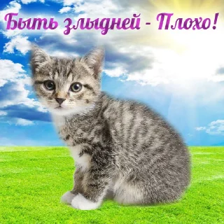 Telegram sticker 🤔 (@m4a34) Добрячки тут!!!