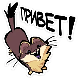 Sticker ⭐ Куна от @TgSticker