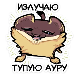 Video sticker ⭐ Куна от @TgSticker