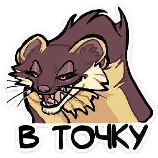 Telegram stiker ⭐ Куна от @TgSticker