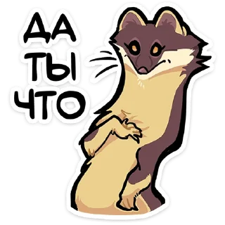 Telegram stiker ⭐ Куна от @TgSticker