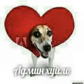 Телеграм стикер 🥶 Больше стиков тут: @stikery4