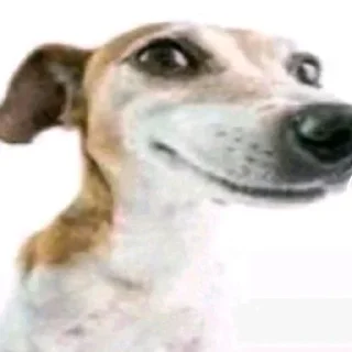 Телеграм стикер 😃 Больше стиков тут: @stikery4