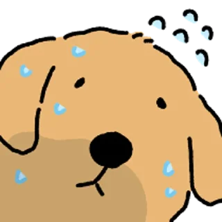 Telegram sticker 😀 강아지 확대 3