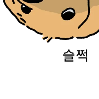 Video sticker 😀 강아지 확대 3