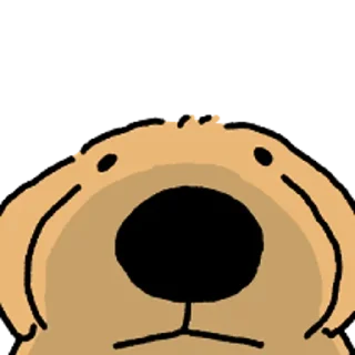 Video sticker 😀 강아지 확대 3