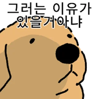 Video sticker 😀 강아지 확대 3