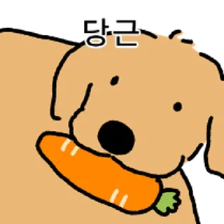 Telegram sticker 😀 강아지 확대 3