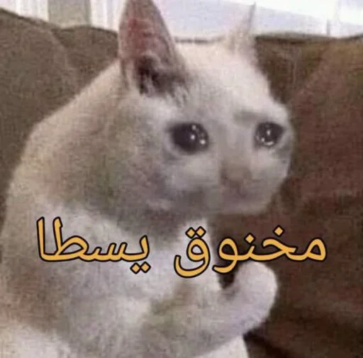 Telegram sticker 😭 @XI_0W
