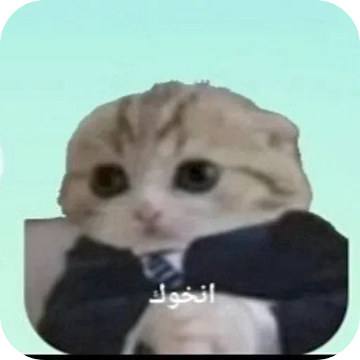 Telegram sticker 🐱 @XI_0W