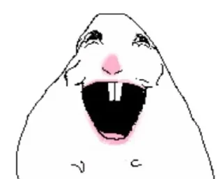 Video sticker 😀 Hamster