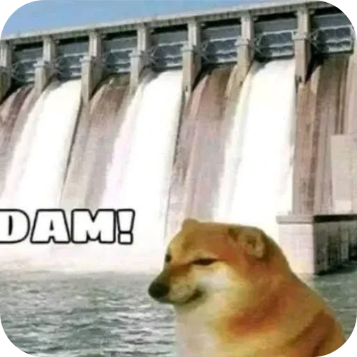 Telegram sticker 🐶 Hunter