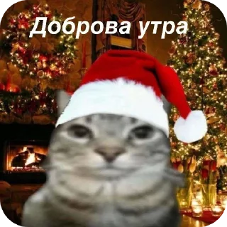 Telegram stiker 😁 Больше стиков тут: @stikery4