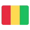 Sticker 🇬🇳 CS2 NEWS Flags 2