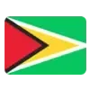 Sticker 🇬🇾 CS2 NEWS Flags 2