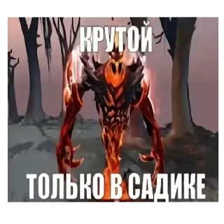 Video sticker 🖼 Сфчик