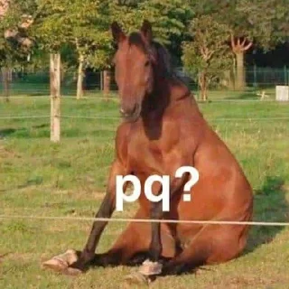 Telegram sticker 🐎 joder alguien respeteme