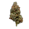 Video sticker 🥦 @berkforlife pack 2
