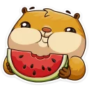 Telegram sticker 🍉 Лето с Сеней @TgSticker