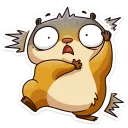 Video sticker 😳 Лето с Сеней @TgSticker