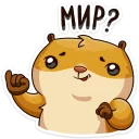 Video sticker 🤗 Лето с Сеней @TgSticker