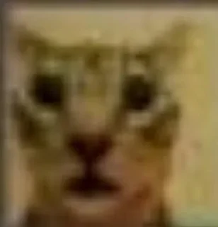 Telegram sticker 😐 ستيكرات الآنسه اناكساغوراس