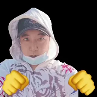 Video sticker 🥊 一步一摇曳 步步生莲华