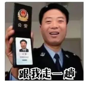 Video sticker 👮 一步一摇曳 步步生莲华