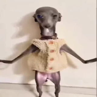 Video sticker 🙈 🗿     Ultra™   🗿      @Ukn_2k