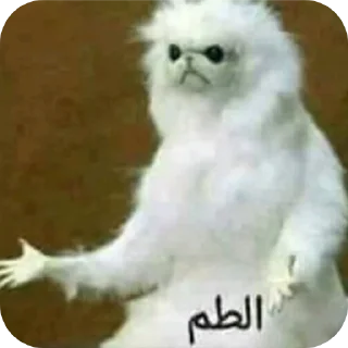 Sticker 🐶 Lolita 😘