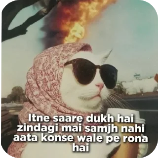 Video sticker 😎 hihiii :: @fStikBot