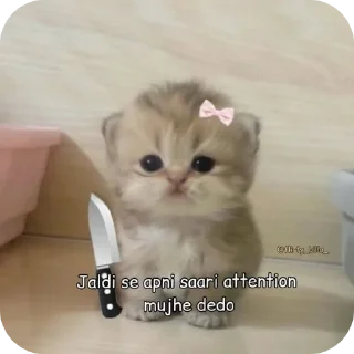 Телеграм стикер 🐱 hihiii :: @fStikBot