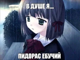 Video sticker 😥 УраНяшИ ➜ @wexsavi ꒰ 🦋 ꒱