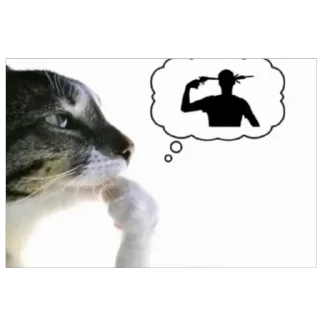 Телеграм стикер 🔥 Аниме тяночки :: @Monton_q