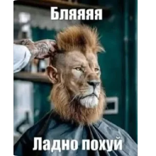 Телеграм стикер 🔥 Аниме тяночки :: @Monton_q