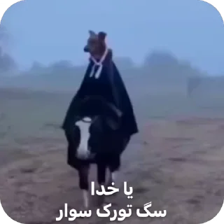 Video sticker 🐺 کاردستی ژپتو_🎀(ورژن ضد نژاد پرستی)